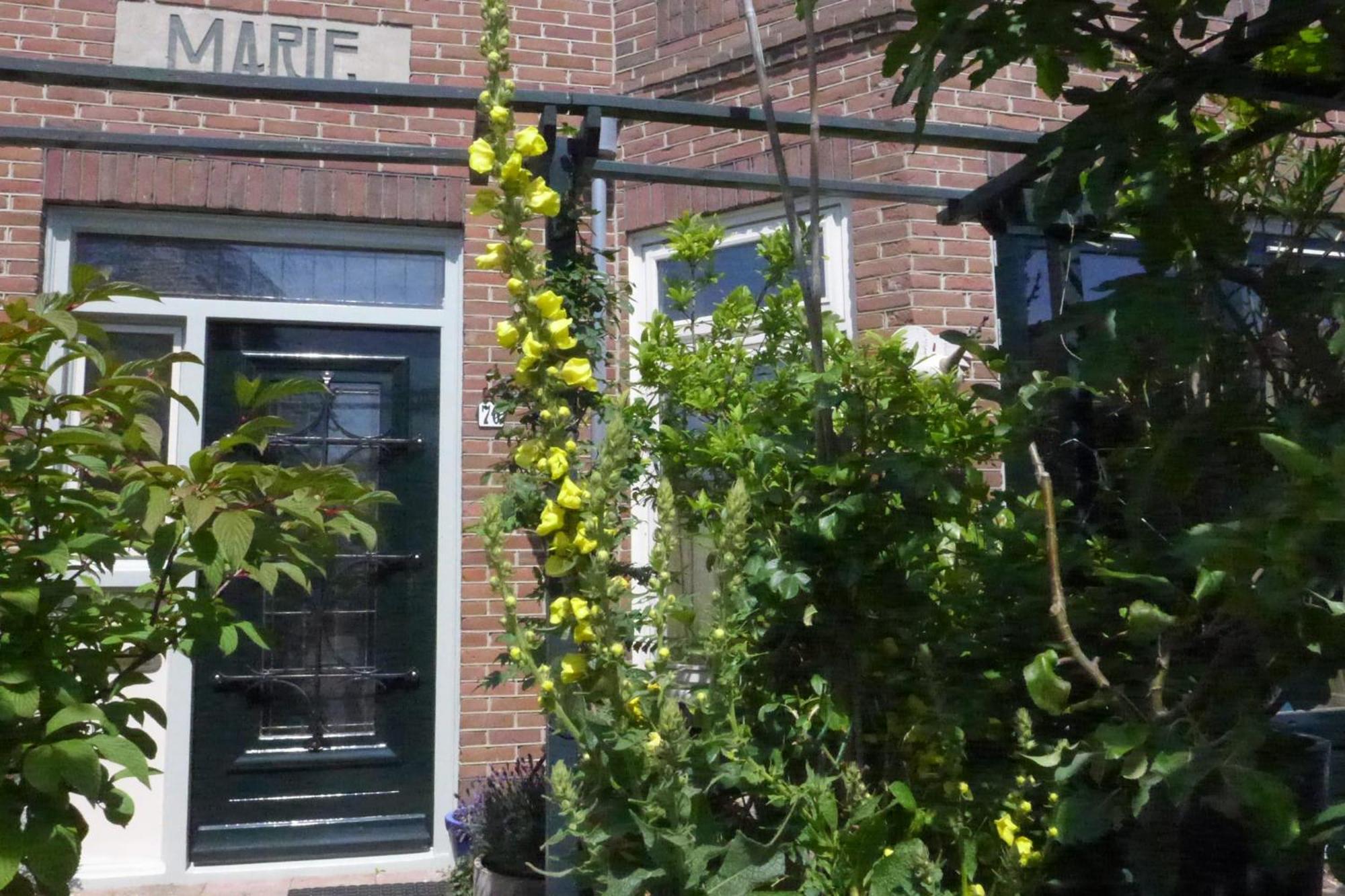 Family Home Marie Zandvoort Dış mekan fotoğraf